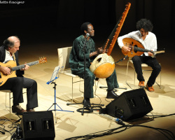 DSC_0710 copia